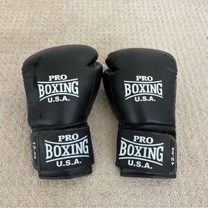 Pro Boxing USA 12oz Gloves